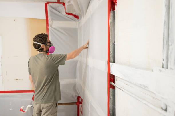 Best Crawl Space Mold Remediation  in Hightstown, NJ