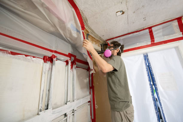 Best Residential Mold Inspection & Testing  in Hightstown, NJ
