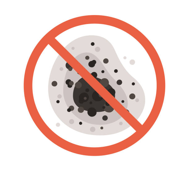 Trusted Hightstown, NJ Mold Removal Experts