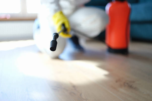 Best HVAC Mold Inspection and Cleaning  in Hightstown, NJ