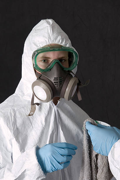 Best Basement Mold Removal  in Hightstown, NJ